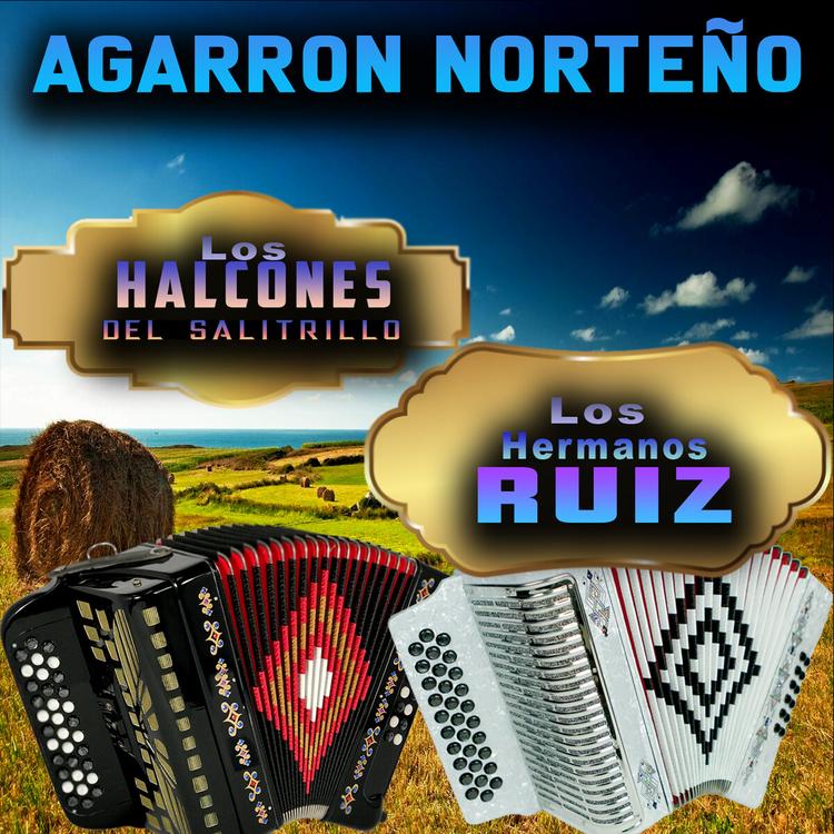 Los Hermanos Ruiz's avatar image