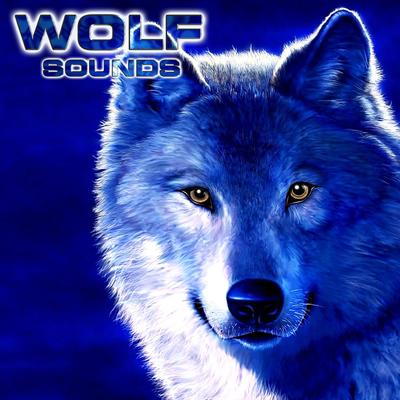 Wolf Sounds (feat. National Geographic Nature Sounds, National Geographic Soundscapes, Relaxing Nature Sound, Soothing Sounds & White Noise Ambience)'s cover