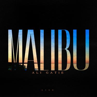 Malibu By Ali Gatie's cover