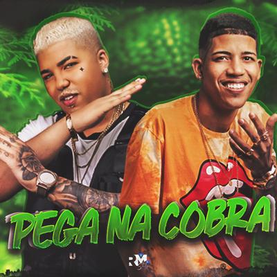 Pega na Cobra By MC V2, MC Reizin's cover