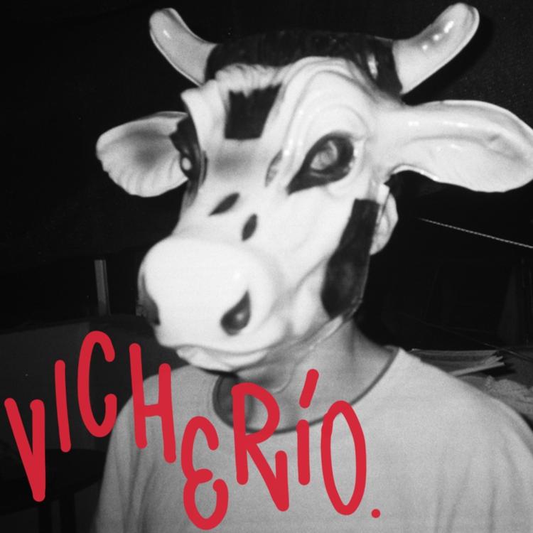 Vicho's avatar image