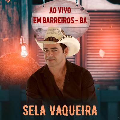 Toada / Pra Sempre (Ao Vivo) By Sela Vaqueira's cover