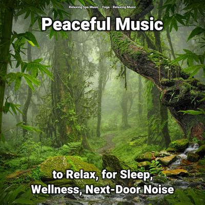Peaceful Music to Relax, for Sleep, Wellness, Next-Door Noise's cover