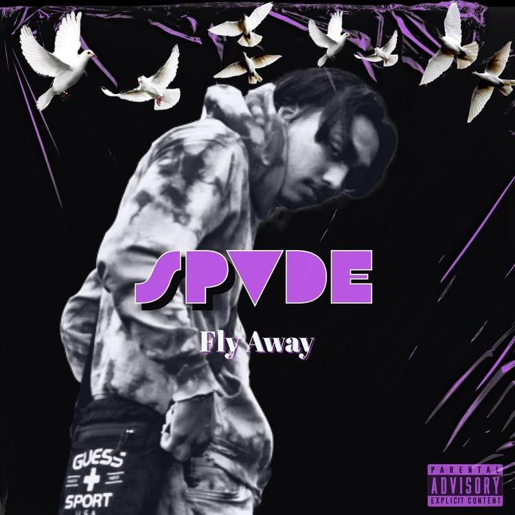 SPVDE's avatar image