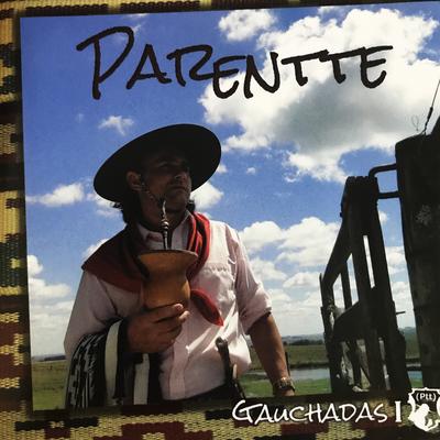 Não Largo de Mão By Parentte's cover