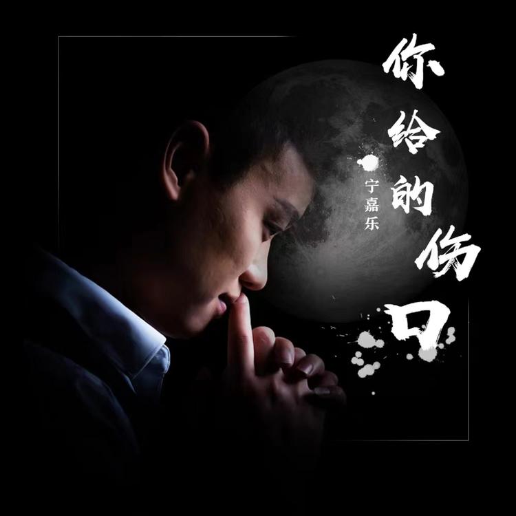 宁嘉乐's avatar image