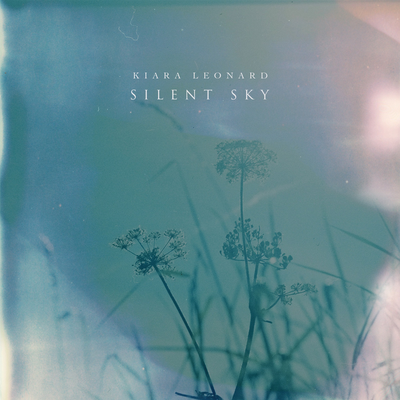 Silent sky's cover