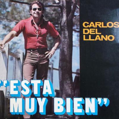 VIEJO CAFE's cover