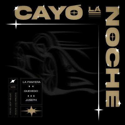 Cayó La Noche's cover