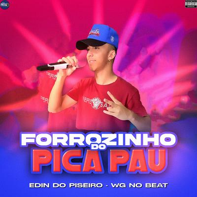 Forrozinho do Pica Pau's cover