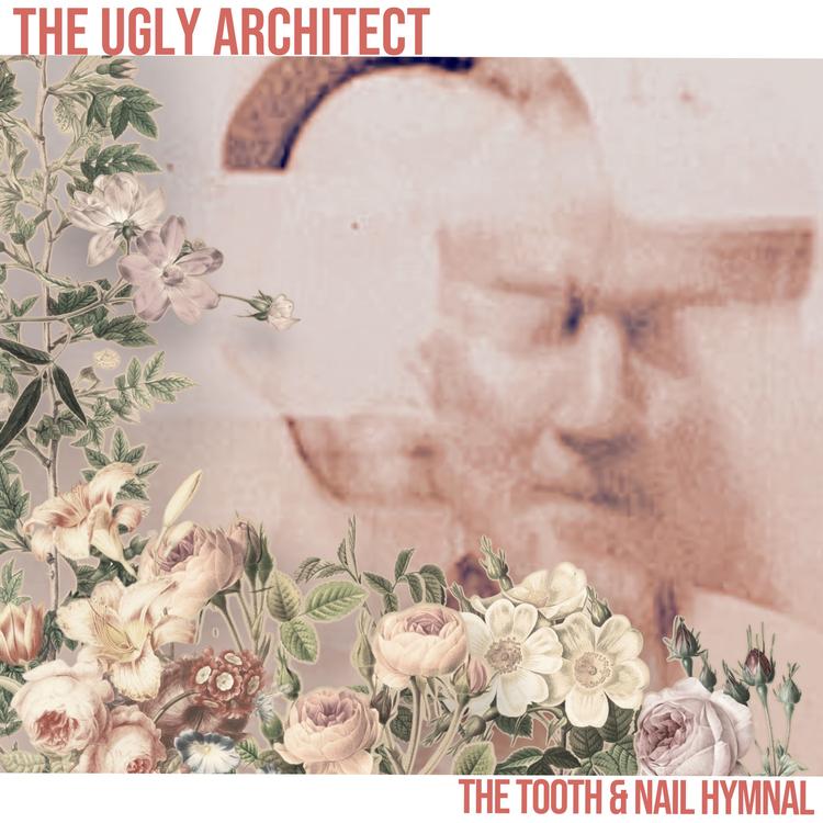 The Ugly Architect's avatar image