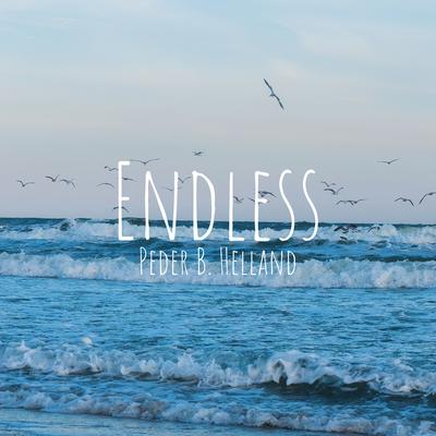 Endless's cover