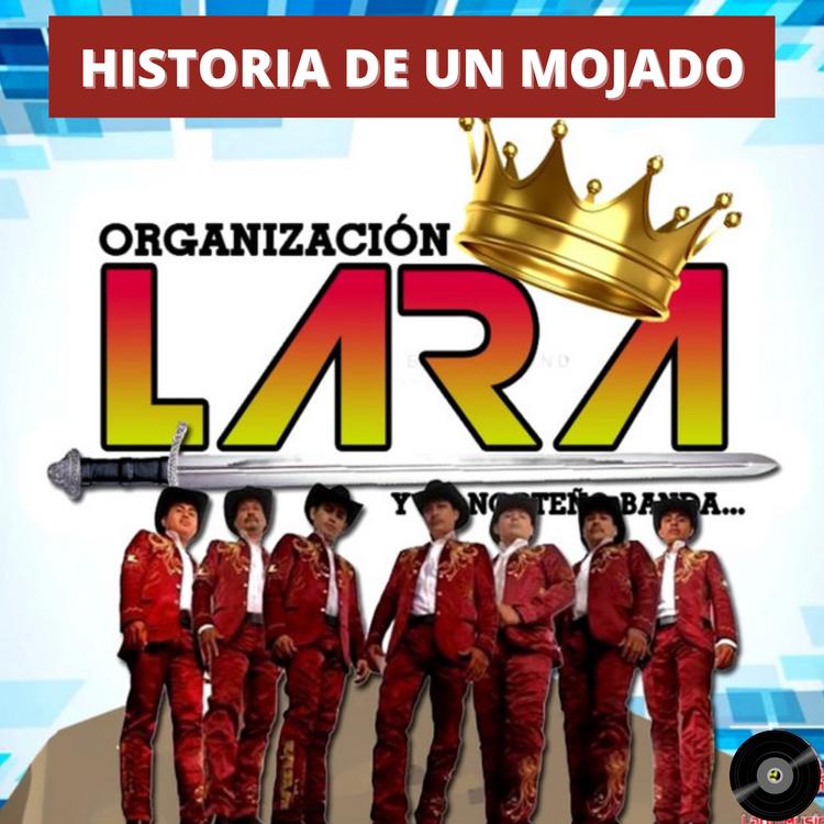 Organización Lara's avatar image