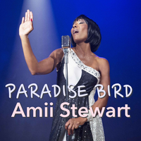 Amii Stewart's avatar cover