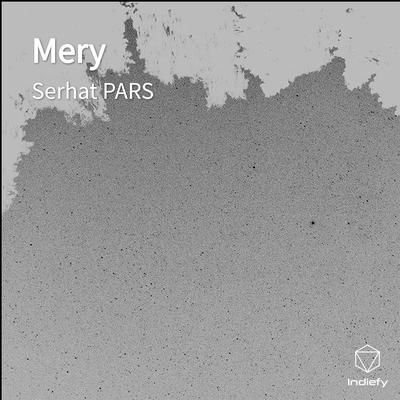 Mery's cover