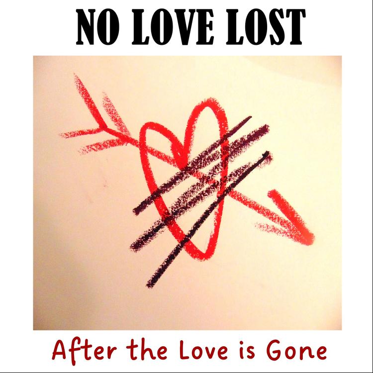 NO LOVE LOST's avatar image