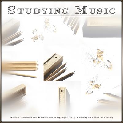 Music For Focus and Concentration By Studying Music Bliss, Studying Music, Study Music Collective's cover