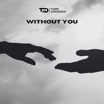 Without You By Third Dimension's cover