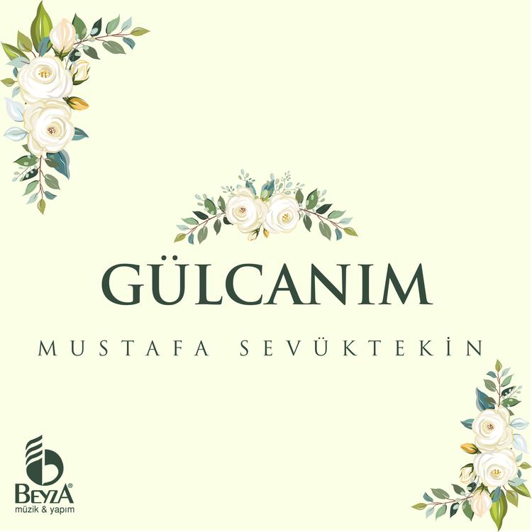 Mustafa Sevüktekin's avatar image