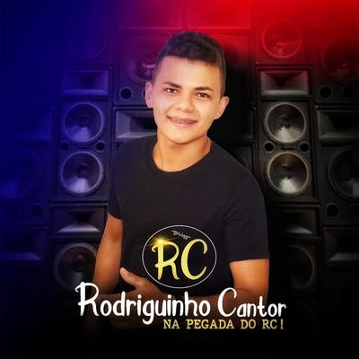 Gatinha By Rodriguinho Cantor's cover