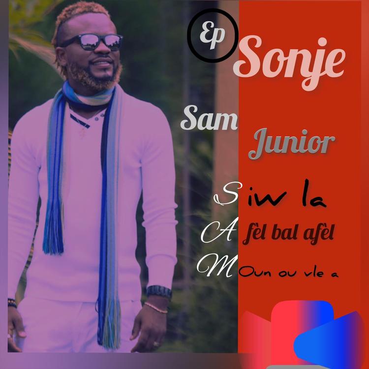 Sam Junior's avatar image