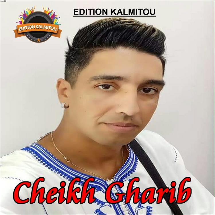 Cheikh Gharib's avatar image