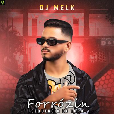 Forrózin Sequencia de Tapa (feat. Alysson CDs Oficial) By djmelk, Alysson CDs Oficial's cover