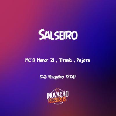 Salseiro By DJ Negão VDF, MC Titanic, Mc Pêjota, MC Menor ZL's cover