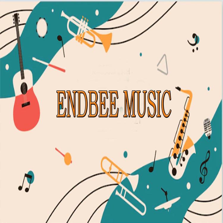 ENDBEE MUSIC's avatar image