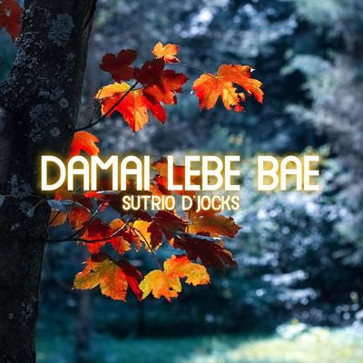 DAMAI LEBE BAE's cover