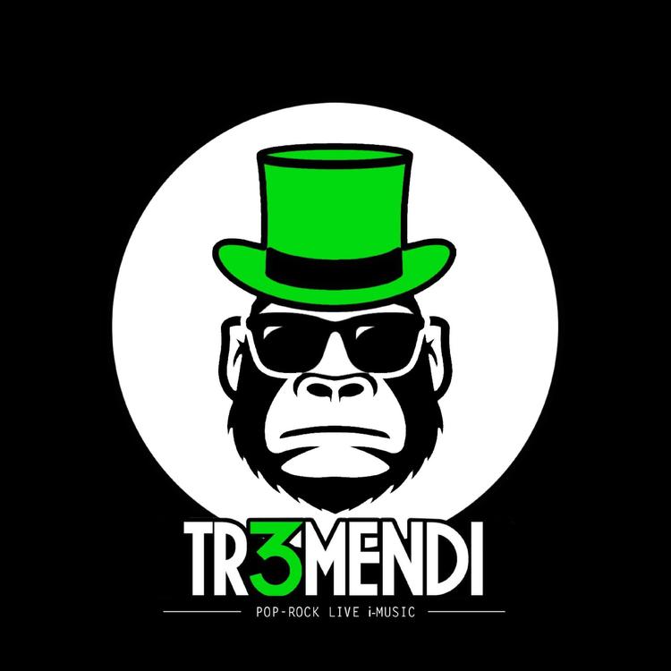 Tremendi's avatar image