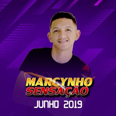 Fingindo Maturidade By Marcynho Sensação's cover