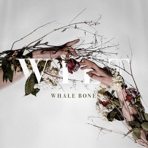 Music  Whale Bone