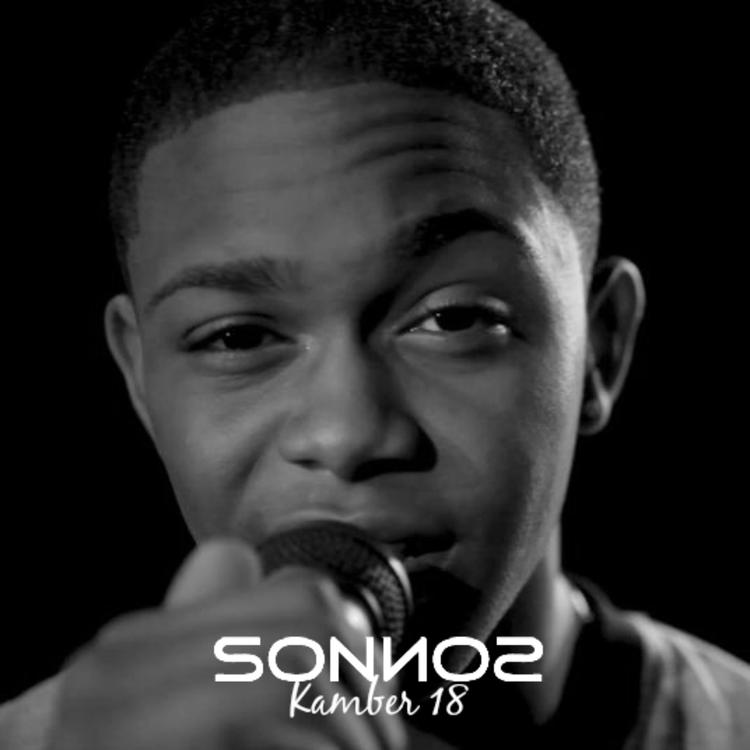Sonnos's avatar image