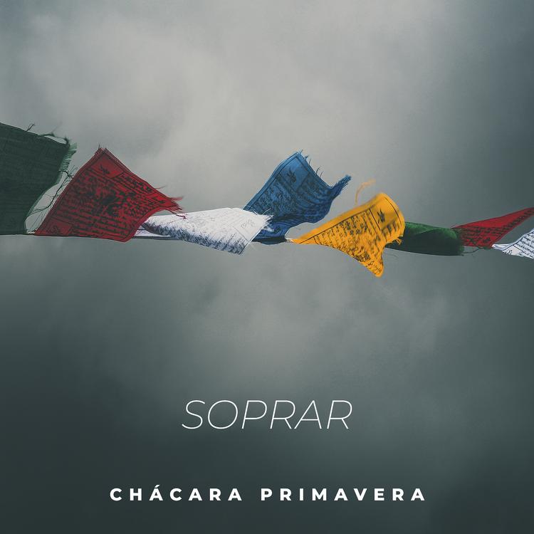 Chácara Primavera's avatar image