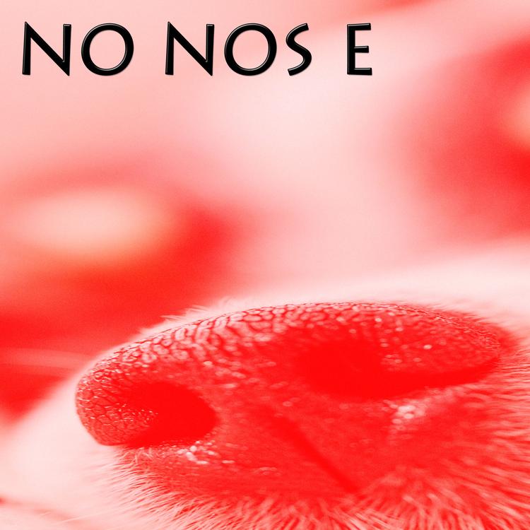 NO NOS E's avatar image