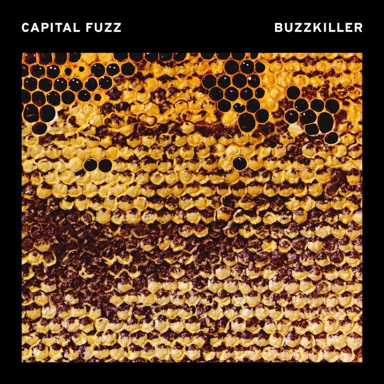 Capital Fuzz's avatar image