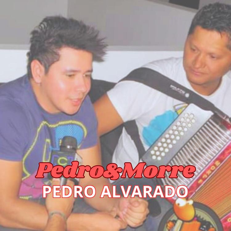 Pedro Alvarado's avatar image