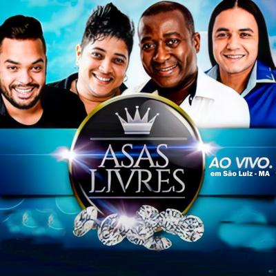 É Você Que Eu Amo (Ao Vivo) By Asas Livres's cover