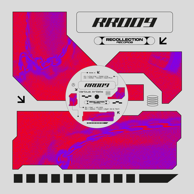 RR009 - Vinyl Release's cover