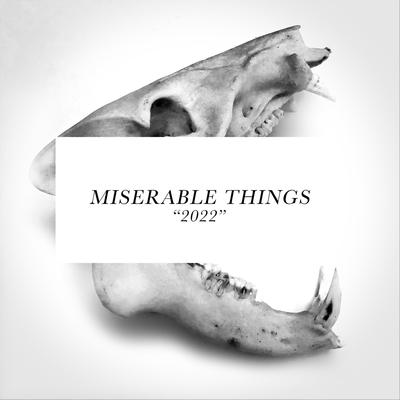 Miserable Things's cover
