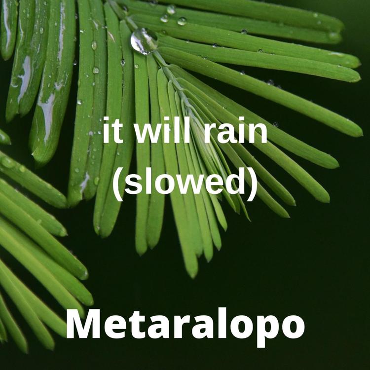 Metaralopo's avatar image