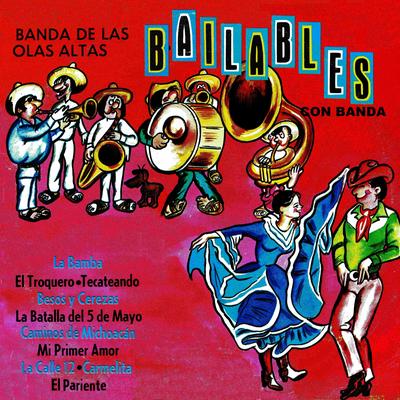 Bailables Con Banda's cover