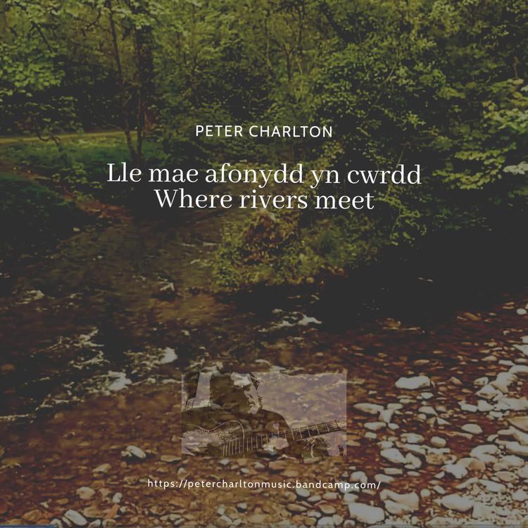 Peter Charlton Music's avatar image