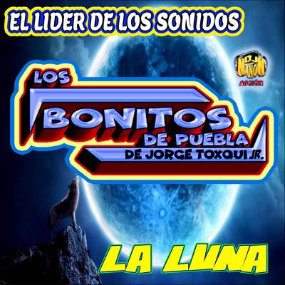 Grupo Los Bonitos de Puebla's cover