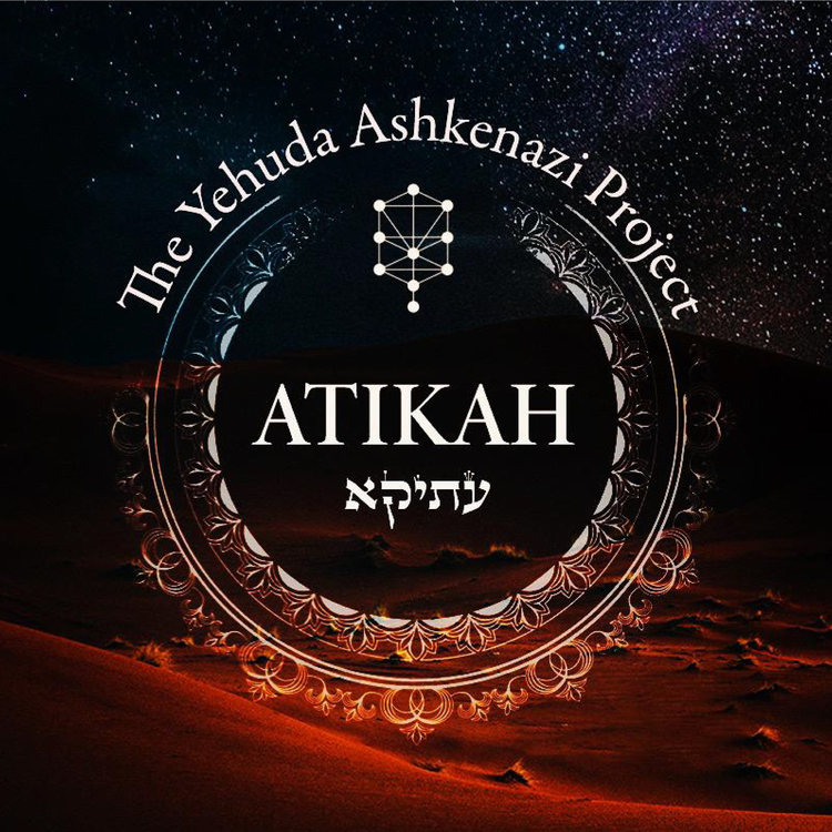 The Yehuda Ashkenazi Project's avatar image