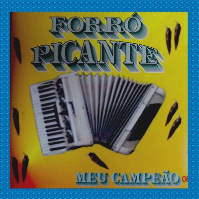 FORRÓ PICANTE's cover