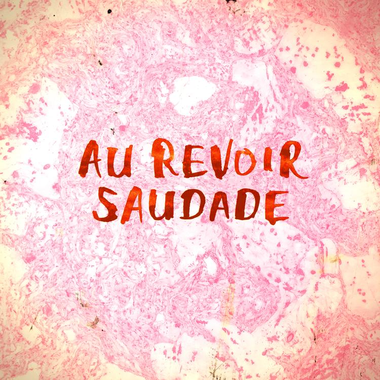 Au Revoir Saudade's avatar image
