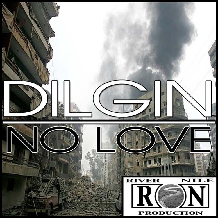 Dilgin's avatar image