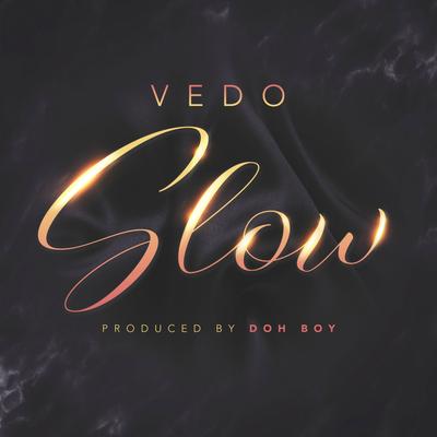 Slow By Vedo's cover